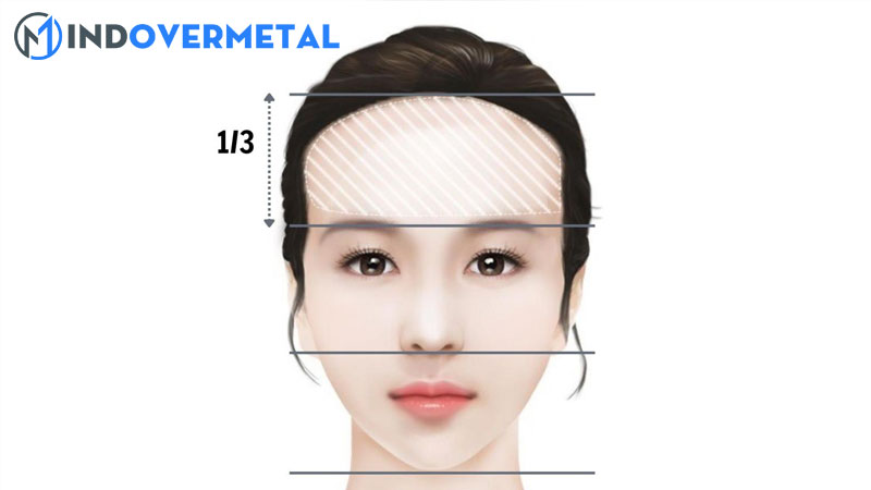 top-20-tran-trot-la-gi-moi-nhat-2023-3-mindovermetal