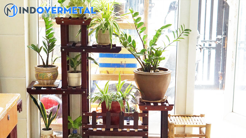 top-8-tu-lam-ke-de-cay-canh-moi-nhat-2023-1-mindovermetal