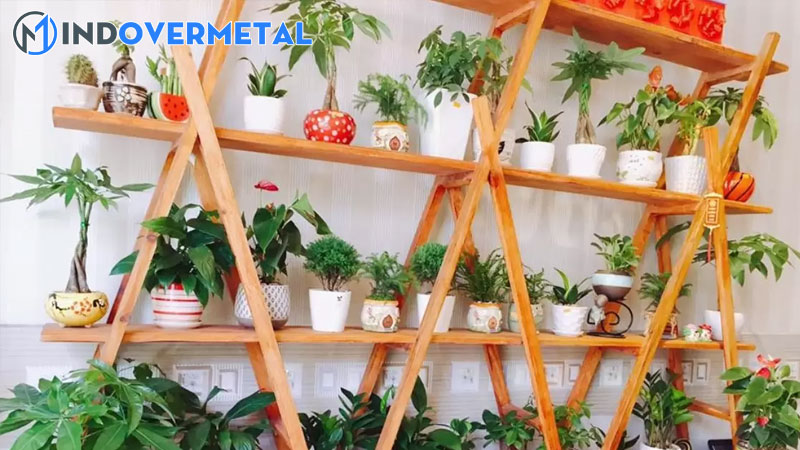 top-8-tu-lam-ke-de-cay-canh-moi-nhat-2023-2-mindovermetal