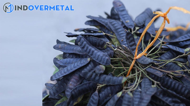 trai-bo-ket-tieng-anh-la-gi-bo-ket-trong-tieng-anh-la-gi-4