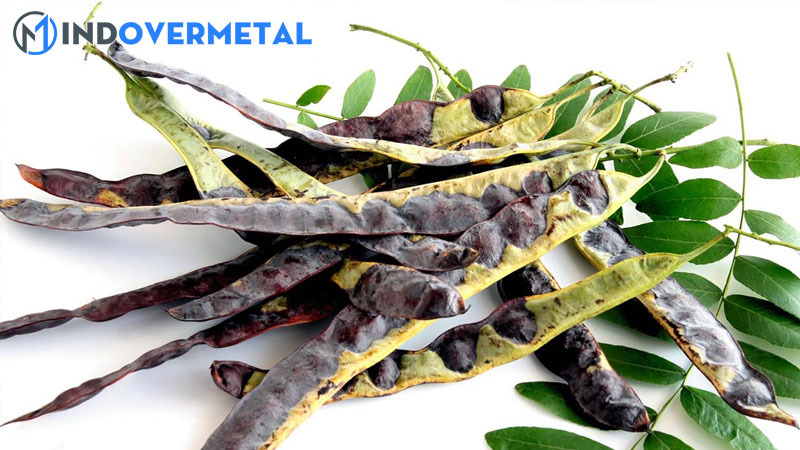 trai-bo-ket-tieng-anh-la-gi-bo-ket-trong-tieng-anh-la-gi-8