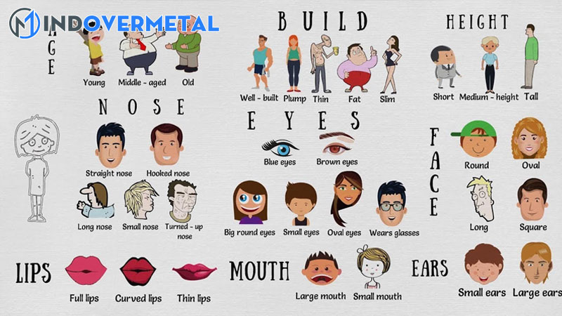 tron-bo-tu-vung-tieng-anh-mieu-ta-khuon-mat-chi-tiet-1-mindovermetal