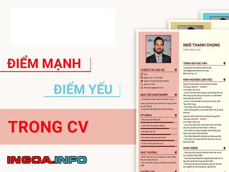 uu-nhuoc-diem-cua-ban-than-trong-cv-nen-trinh-bay-nhung-gi-mindovermetal