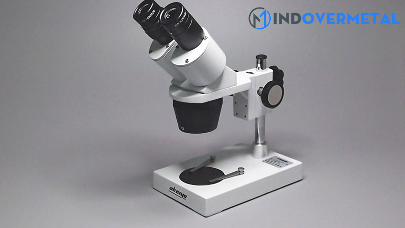 vi-truong-trong-kinh-hien-vi-la-gi-1