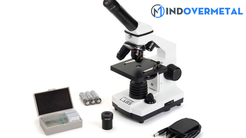 vi-truong-trong-kinh-hien-vi-la-gi-1