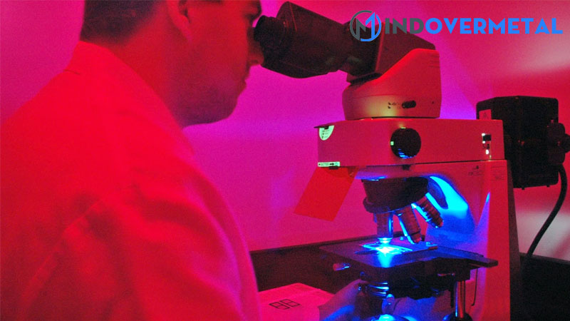 vi-truong-trong-kinh-hien-vi-la-gi-3