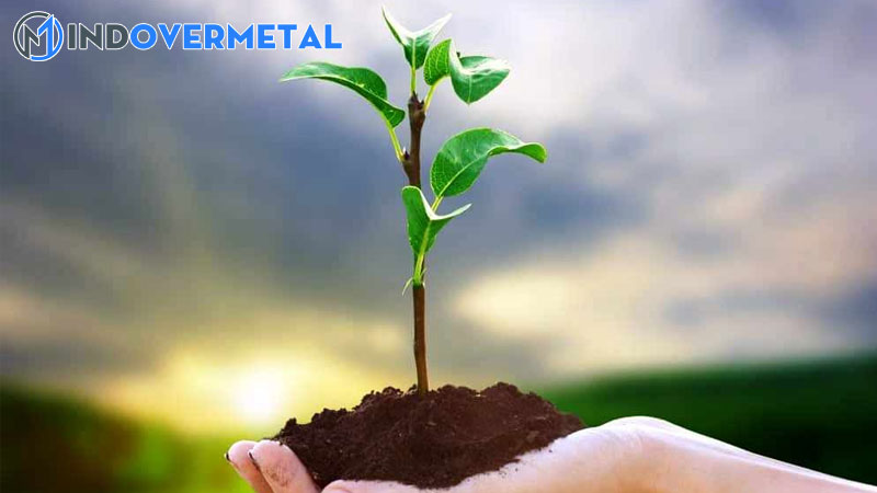 y-nghia-cua-su-cho-doi-y-nghia-cuoc-song-1-mindovermetal