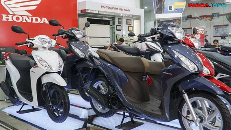 yaz-thanh-ly-4ac-la-gi-huong-dan-phan-biet-cac-loai-giay-to-xe-3