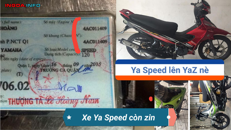 yaz-thanh-ly-4ac-la-gi-huong-dan-phan-biet-cac-loai-giay-to-xe-4