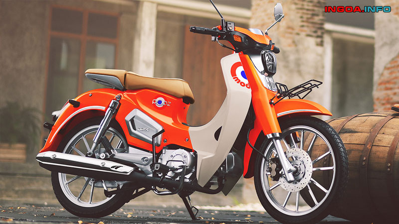 yaz-thanh-ly-4ac-la-gi-huong-dan-phan-biet-cac-loai-giay-to-xe-6