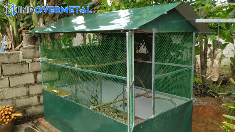 20-mau-chuong-avi-dep-duoc-mua-nhieu-nhat-2023-1-mindovermetal