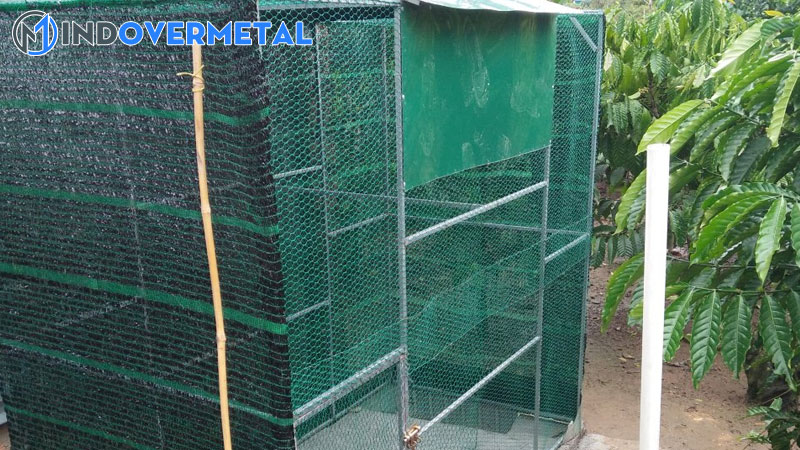 20-mau-chuong-avi-dep-duoc-mua-nhieu-nhat-2023-2-mindovermetal