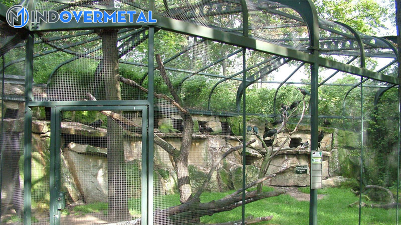 20-mau-chuong-avi-dep-duoc-mua-nhieu-nhat-2023-5-mindovermetal