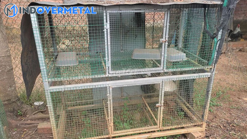 20-mau-chuong-avi-dep-duoc-mua-nhieu-nhat-2023-mindovermetal