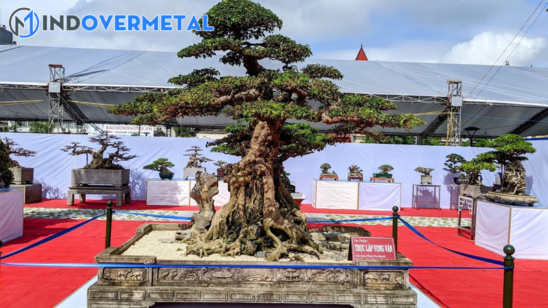 35-the-cay-canh-tu-co-ban-den-nang-cao-2-mindovermetal