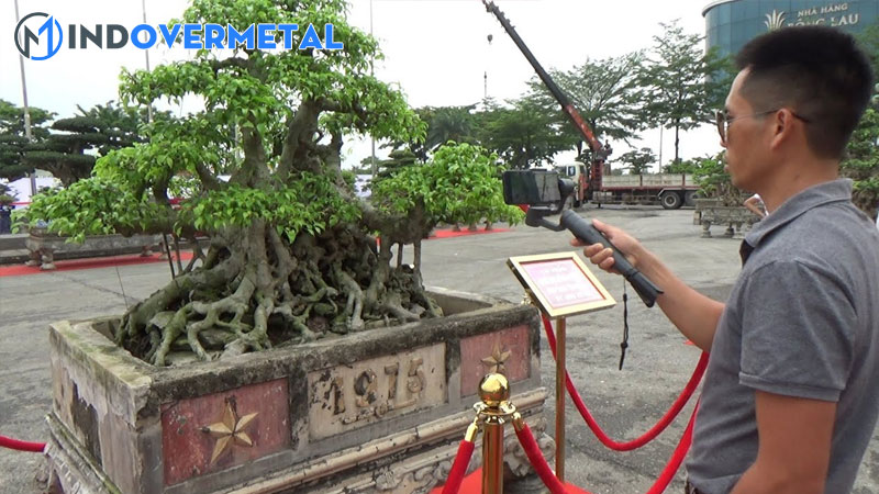 35-the-cay-canh-tu-co-ban-den-nang-cao-4-mindovermetal