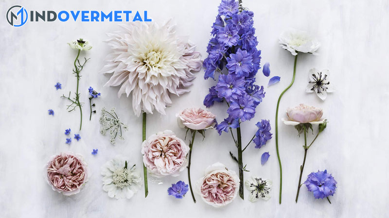 chuong-14-tu-hoa-va-phi-hoa-mindovermetal