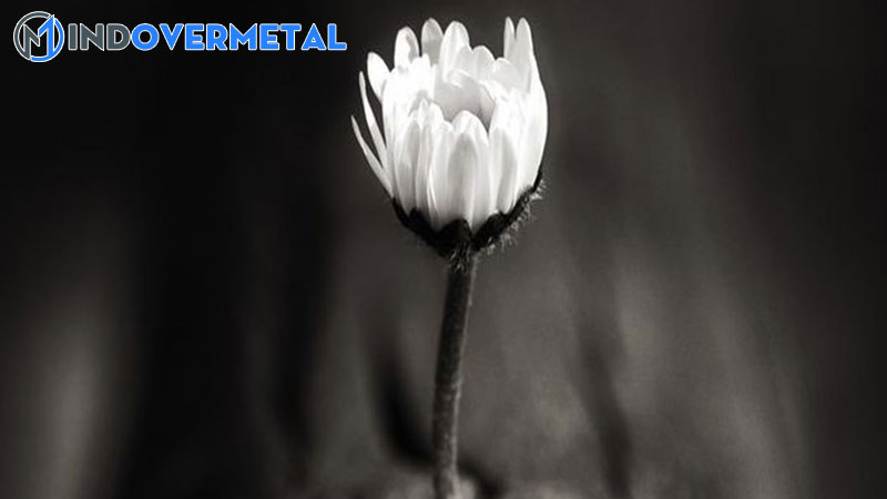 de-tang-nguoi-da-khuat-y-nghia-va-nhung-dieu-kieng-ky-can-biet-mindovermetal