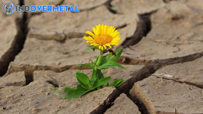 hanh-dong-loi-noi-la-gi-what-is-a-speech-act-1-mindovermetal