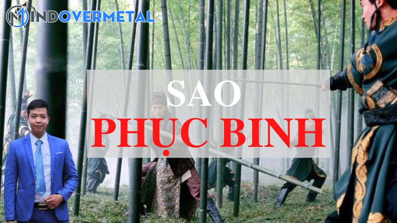 sao-phuc-binh-va-y-nghia-o-cac-cung-trong-tu-vi-1-mindovermetal