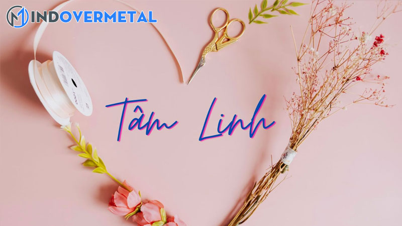 tam-linh-la-gi-cac-hien-tuong-tam-linh-kho-giai-thich-2-mindovermetal