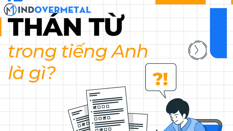 tong-hop-20-than-tu-tieng-anh-nguoi-ban-xu-thuong-dung-2-mindovermetal