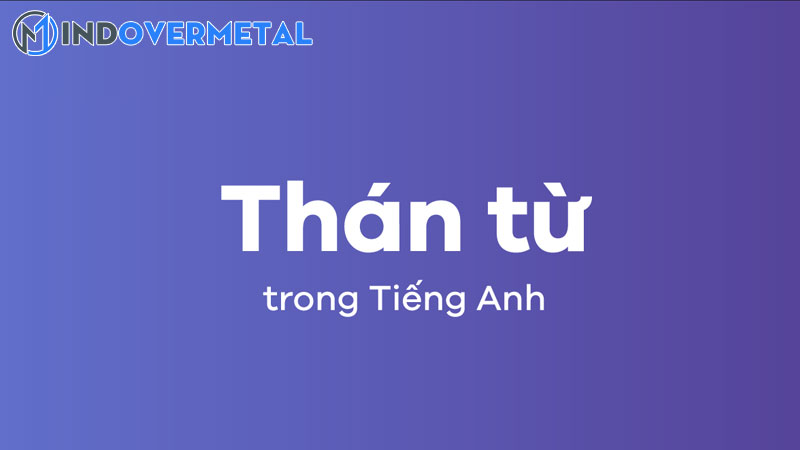 tong-hop-20-than-tu-tieng-anh-nguoi-ban-xu-thuong-dung-mindovermetal