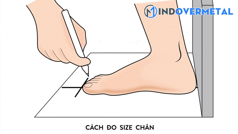 top-19-size-us-7y-la-gi-moi-nhat-2023-mindovermetal