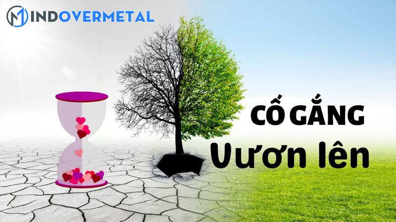 top-8-vuon-len-trong-cuoc-song-la-gi-moi-nhat-2023-mindovermetal