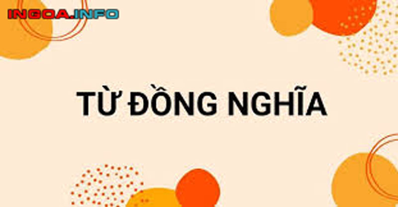 tu-dong-nghia-voi-xay-dung-la-gi-mot-so-bai-tap-ve-tu-dong-nghia-mindovermetal