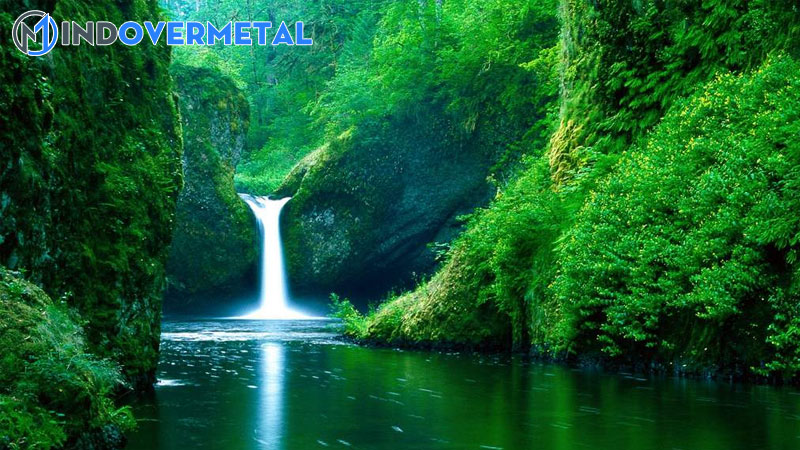 viet-doan-mo-bai-gian-tiep-va-doan-ket-bai-mo-rong-cho-bai-van-ta-canh-thien-nhien-mindovermetal