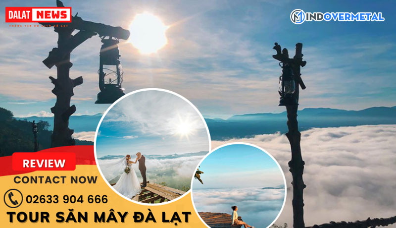 dalatnews-cung-cap-nhung-thong-tin-gi-mindovermetal