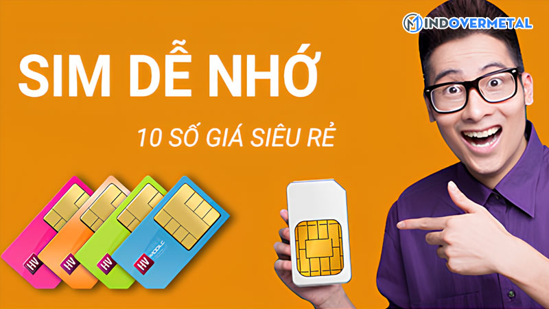 sim-de-nho-la-gi-mindovermetal