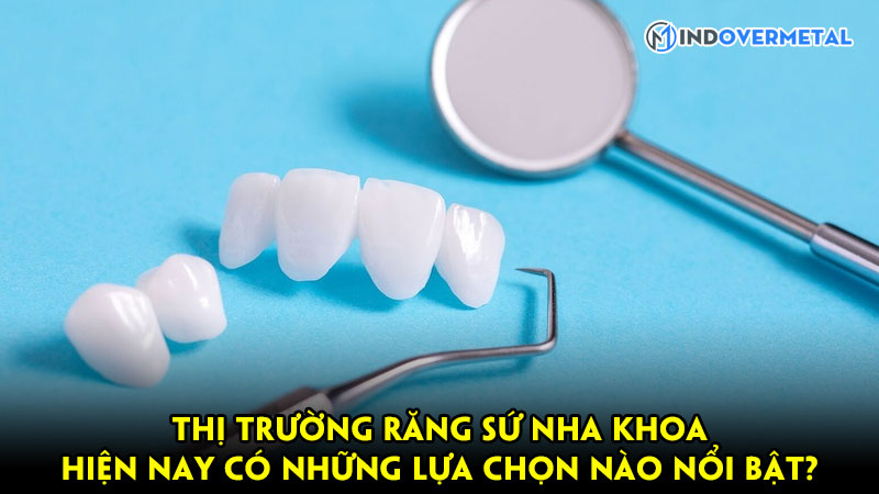 thi-truong-rang-su-nha-khoa-hien-nay-co-nhung-lua-chon-nao-noi-bat-mindovermetal